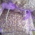 优质红根蒜苗种蒜，精品蒜米料，精品印尼蒜