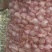 优质红根蒜苗种蒜，精品蒜米料，精品印尼蒜