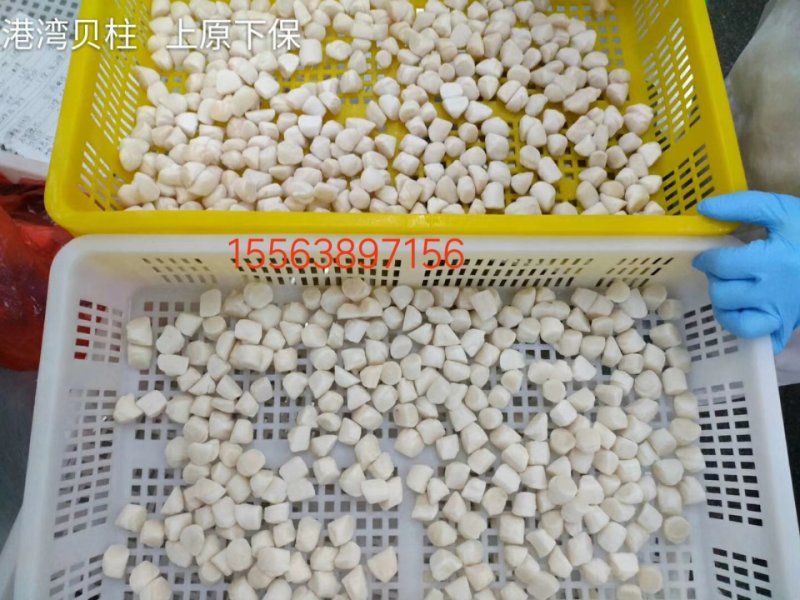 港湾贝柱40-60，60-80，80-100。原汁出口