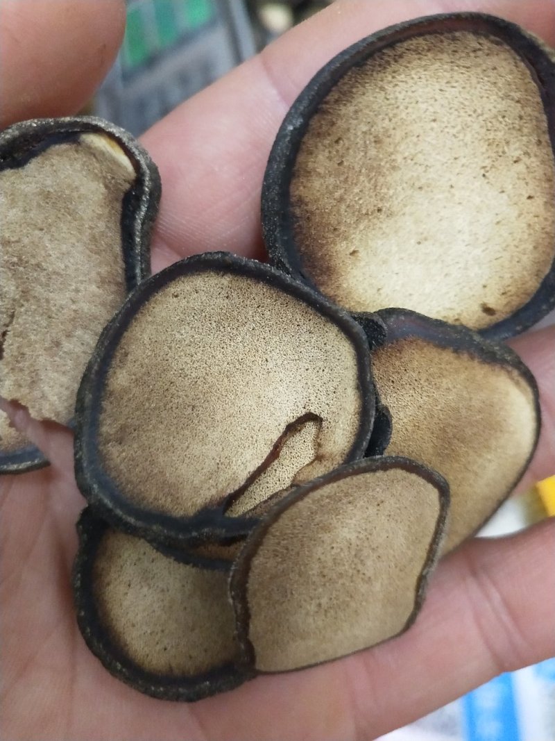 鹿茸片鹿茸白粉片质量保证食物拍摄包邮