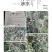 山豆根种子