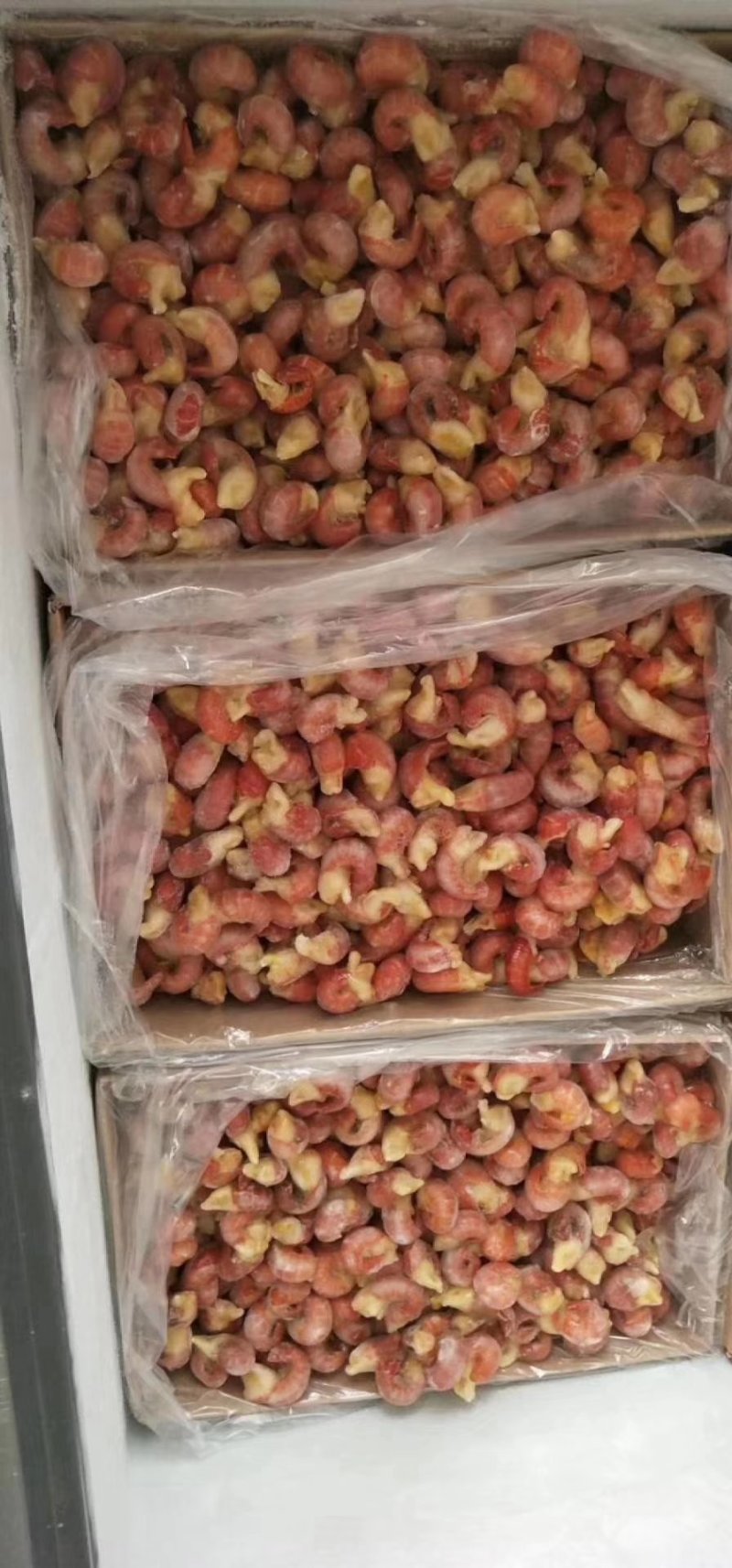龙虾尾，特级，大鑫