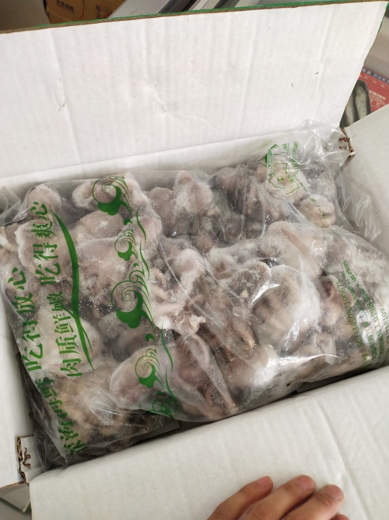 冻章鱼