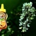 精品自产槐花蜜