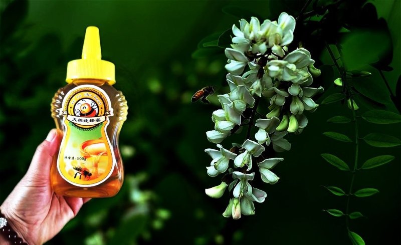 精品自产槐花蜜