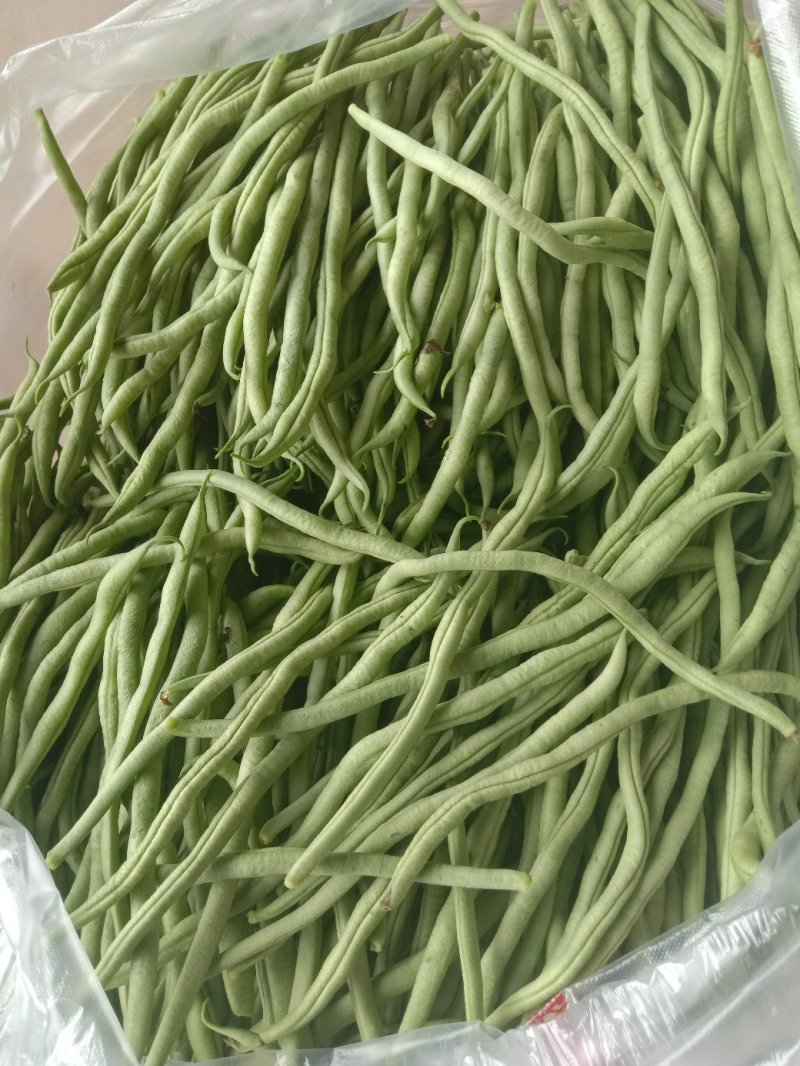 架豆王