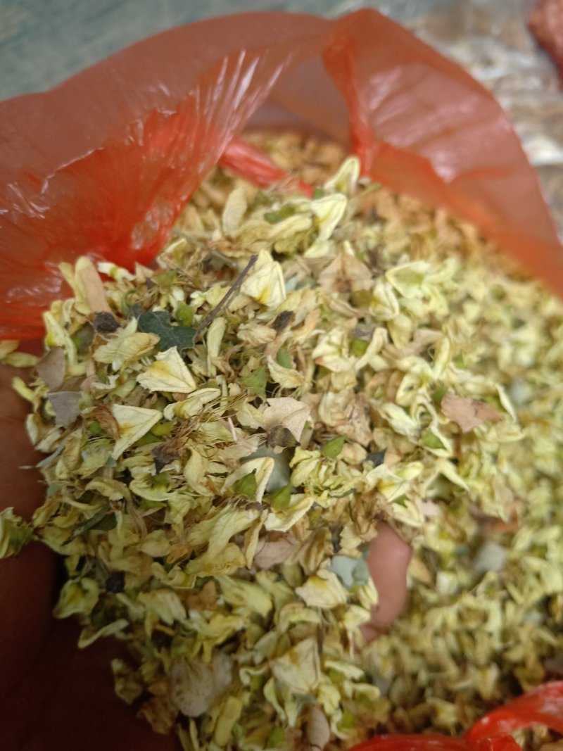 槐花，国槐花，干槐花，毛货