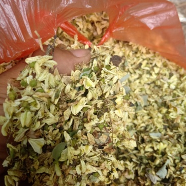 槐花，国槐花，干槐花，毛货