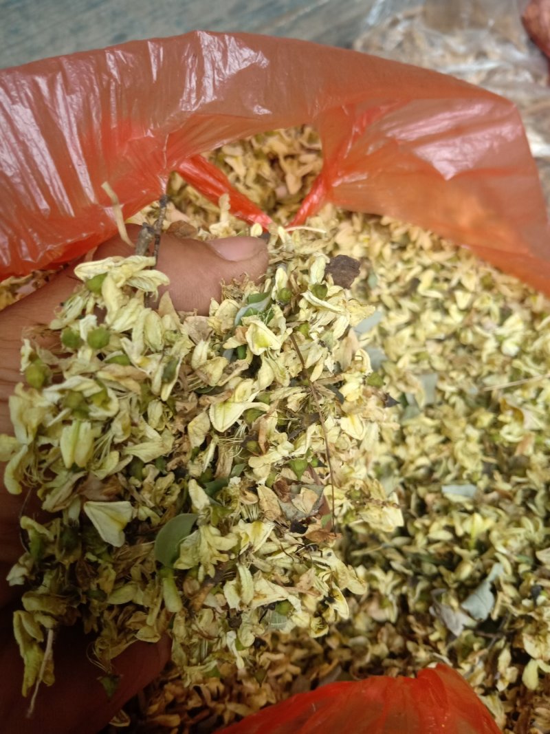 槐花，国槐花，干槐花，毛货
