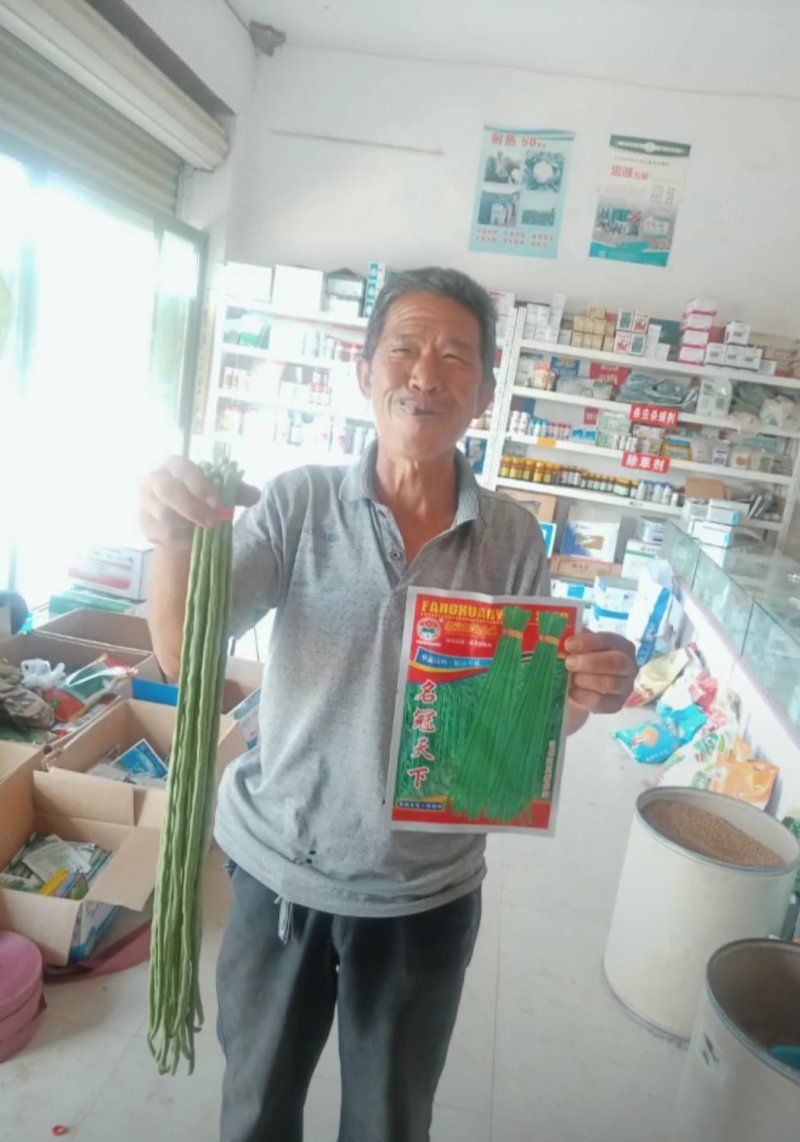 翠绿条长豆角种子长75公分高温不落花