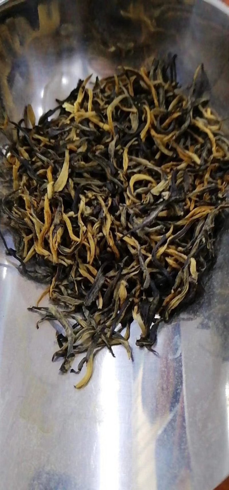 英红九号