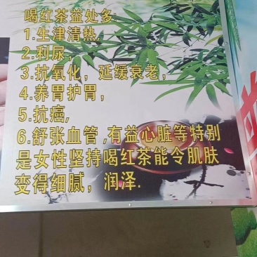 英红九号