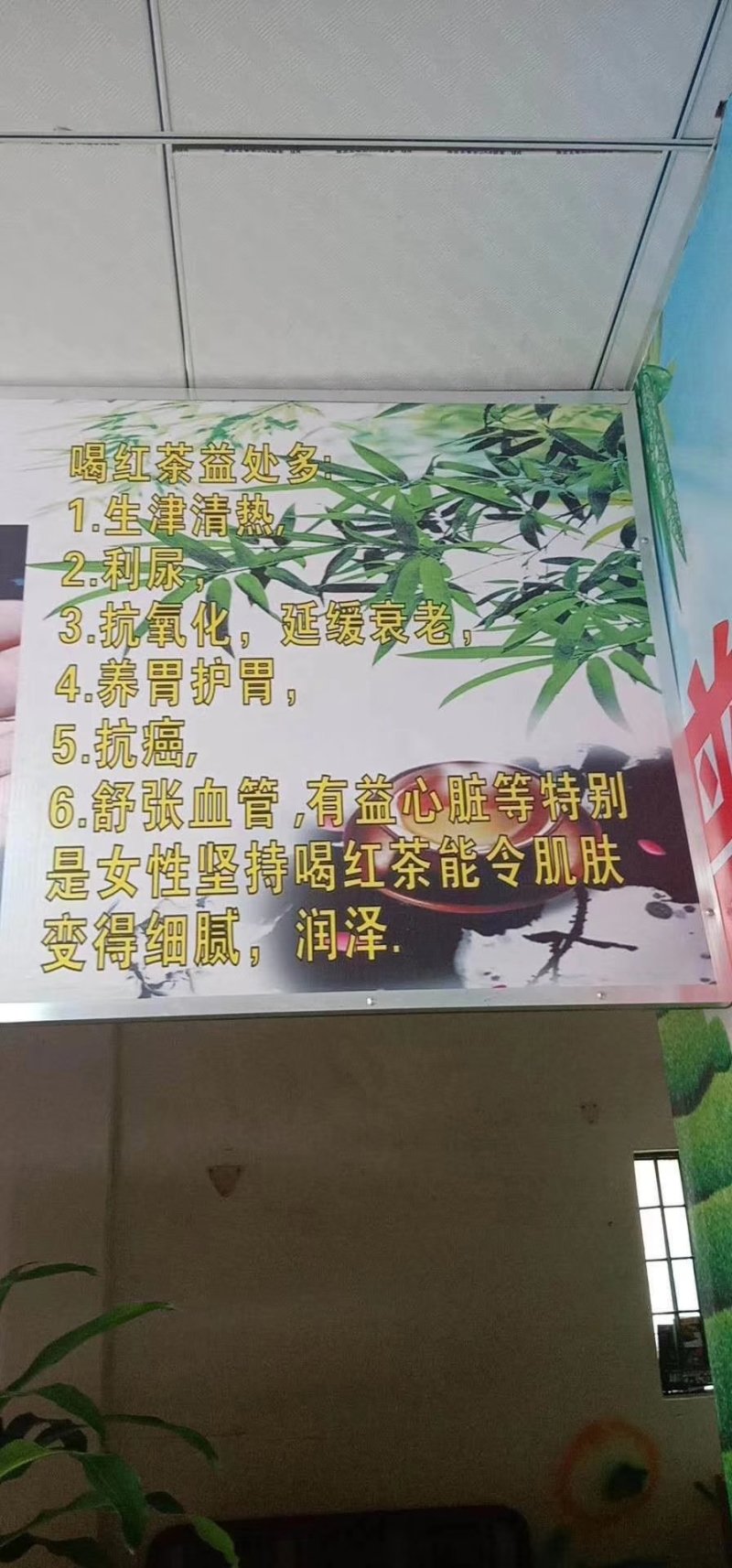 英红九号