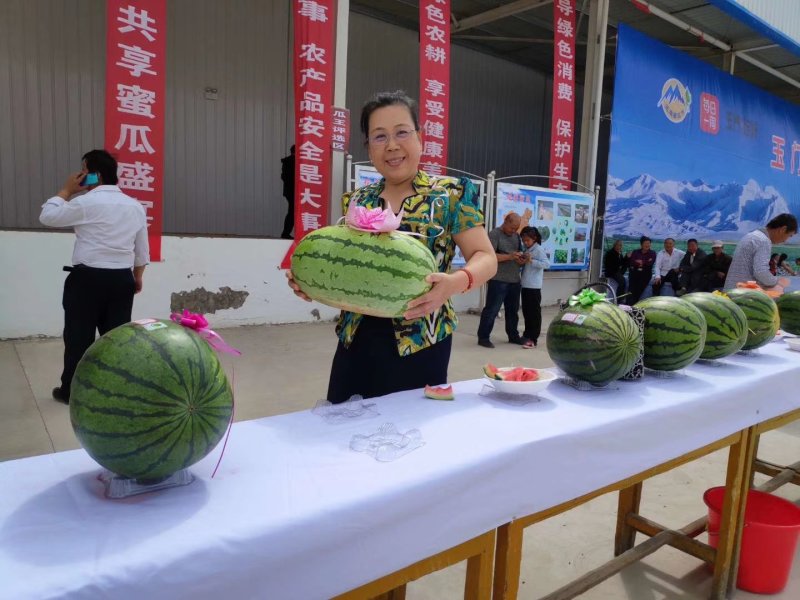 甜瓜代办甘肃玉门甜瓜一件代发甘肃玉门代办