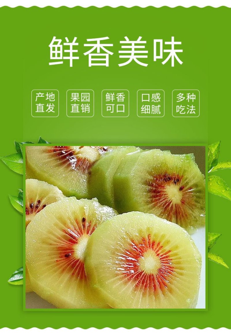 【一件代发】优选四川蒲江红心猕猴桃……原产地直发