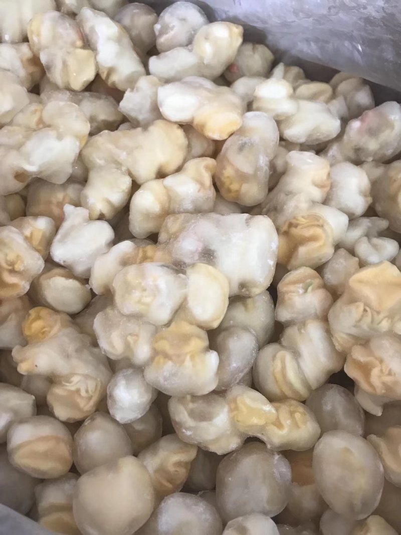 海螺肉，黄金贝，蓝口贝