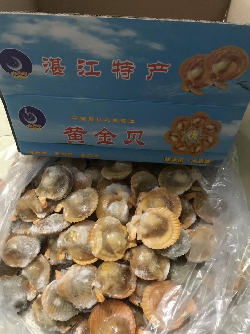海螺肉，黄金贝，蓝口贝