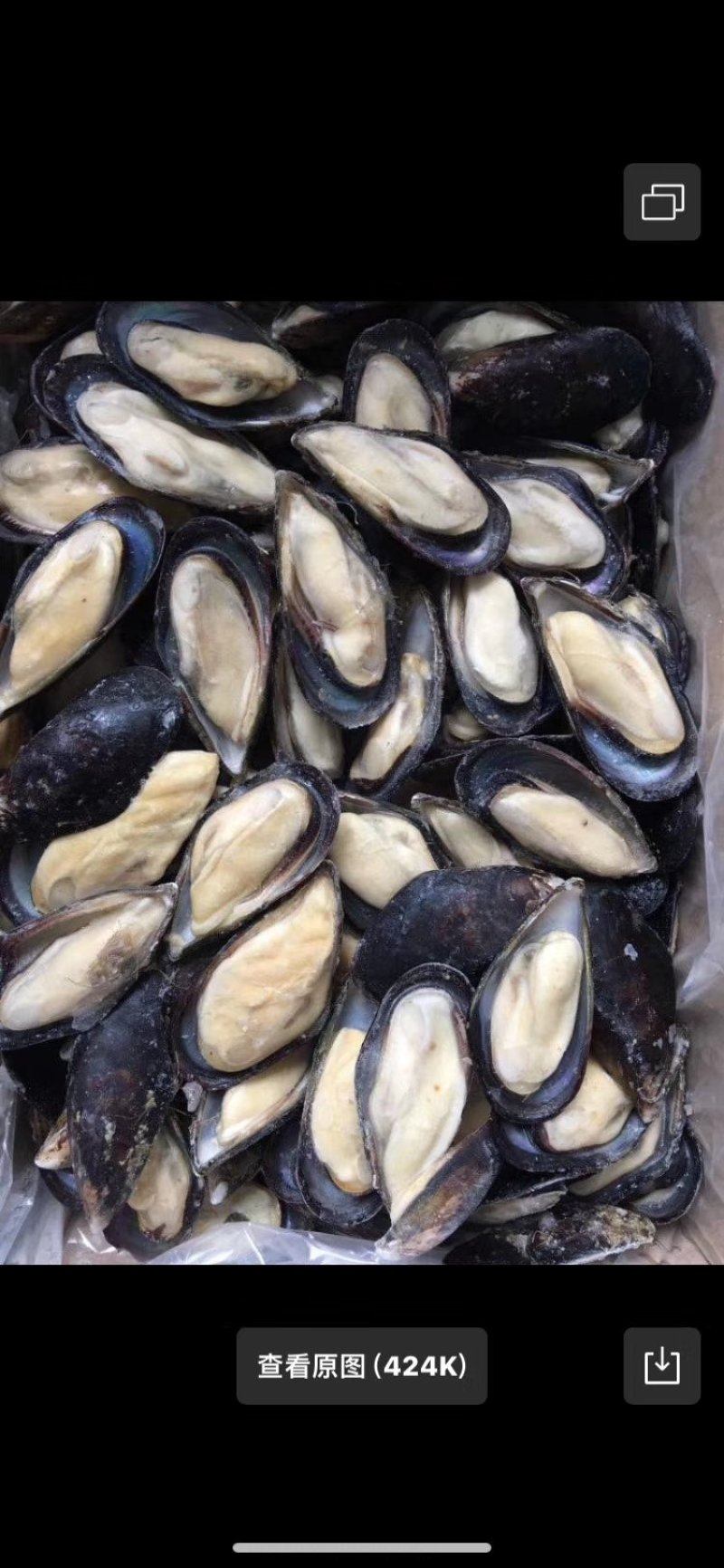 海螺肉，黄金贝，蓝口贝