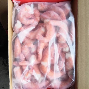 阿根廷红虾尾