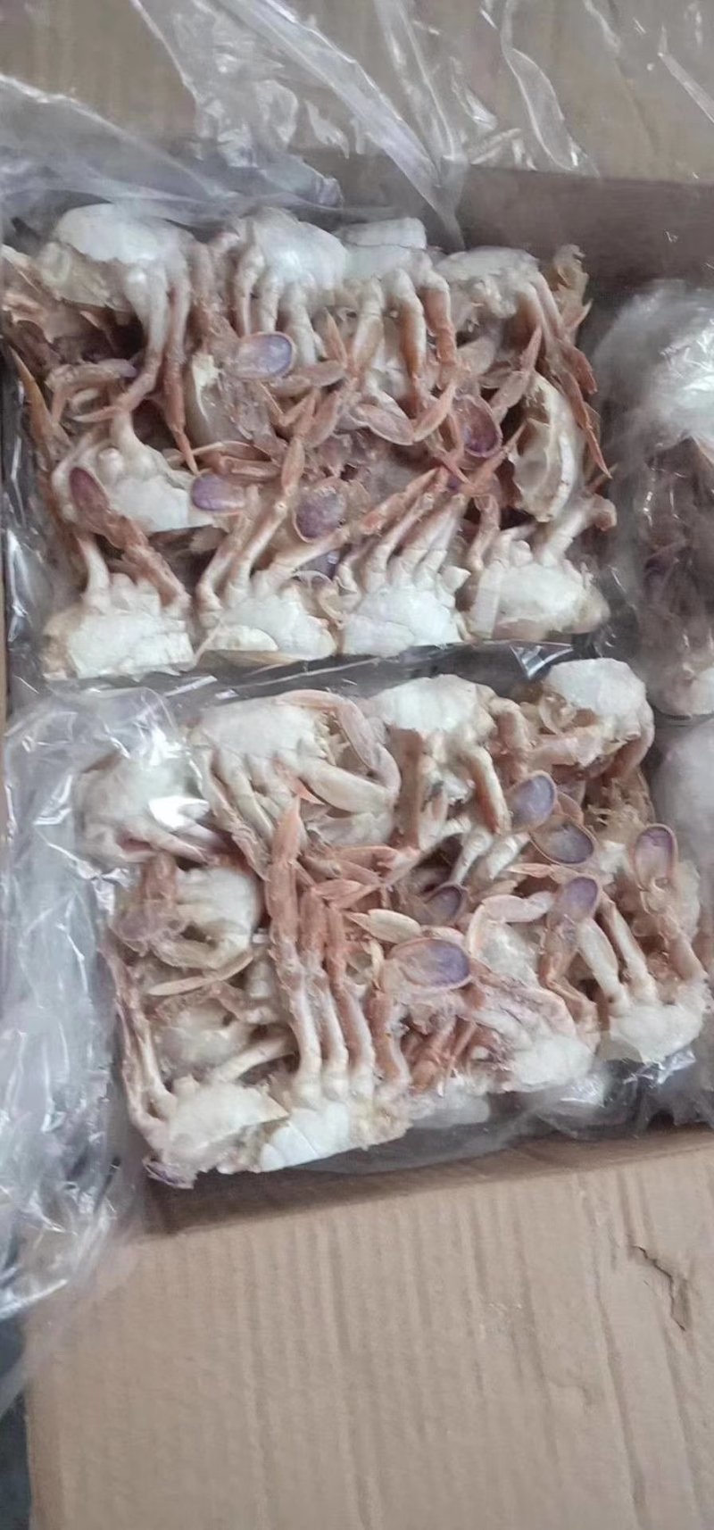 沙切蟹