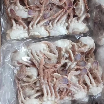沙切蟹