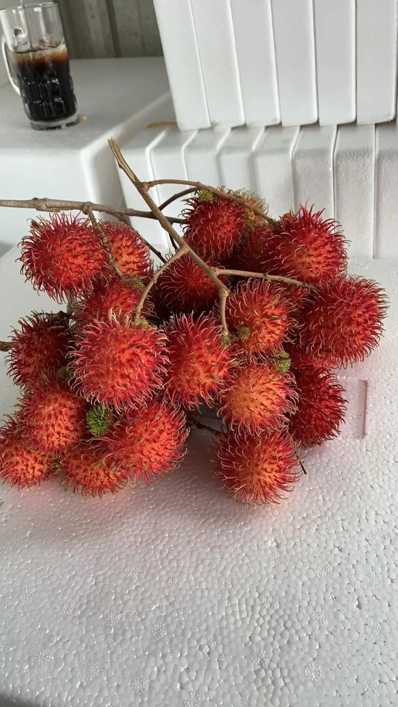 热带水果