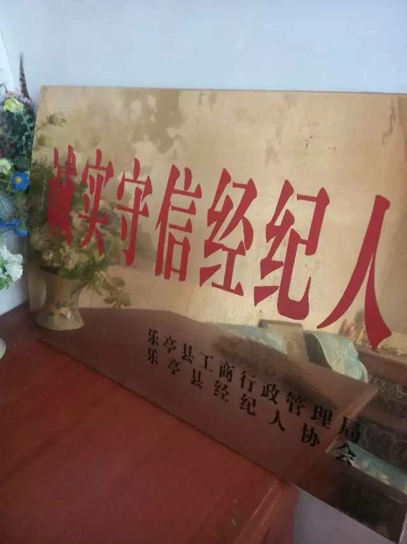 河北沿海地区晚熟美八苹果，80以上脆甜青红色不面不起沙
