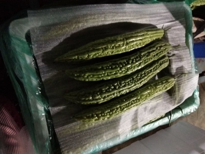 苦瓜，苦瓜，苦瓜，苦瓜陆地大量有货