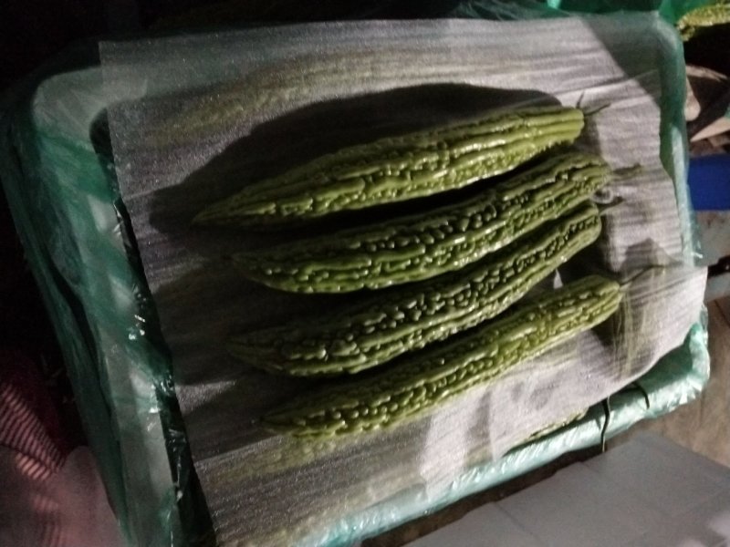 苦瓜，苦瓜，苦瓜，苦瓜陆地大量有货