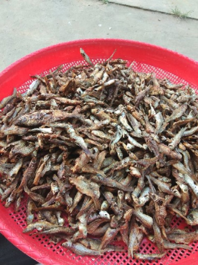 醴陵风味火焙鱼.3到4厘米长，自然生长捕捞。