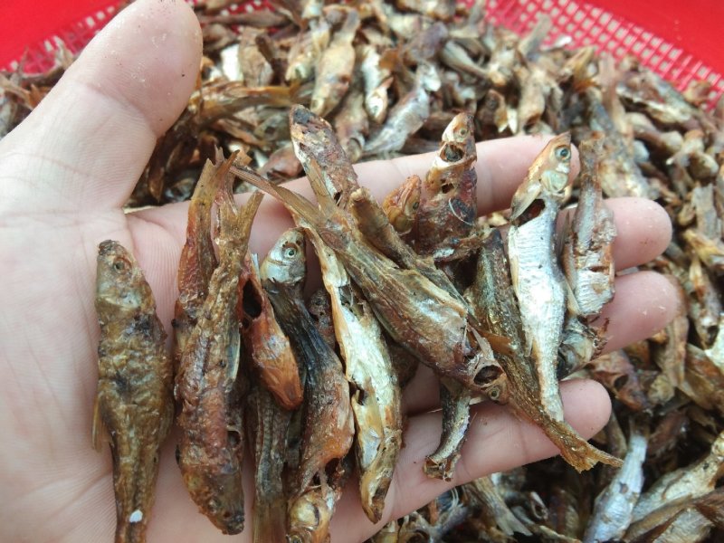 醴陵风味火焙鱼.3到4厘米长，自然生长捕捞。
