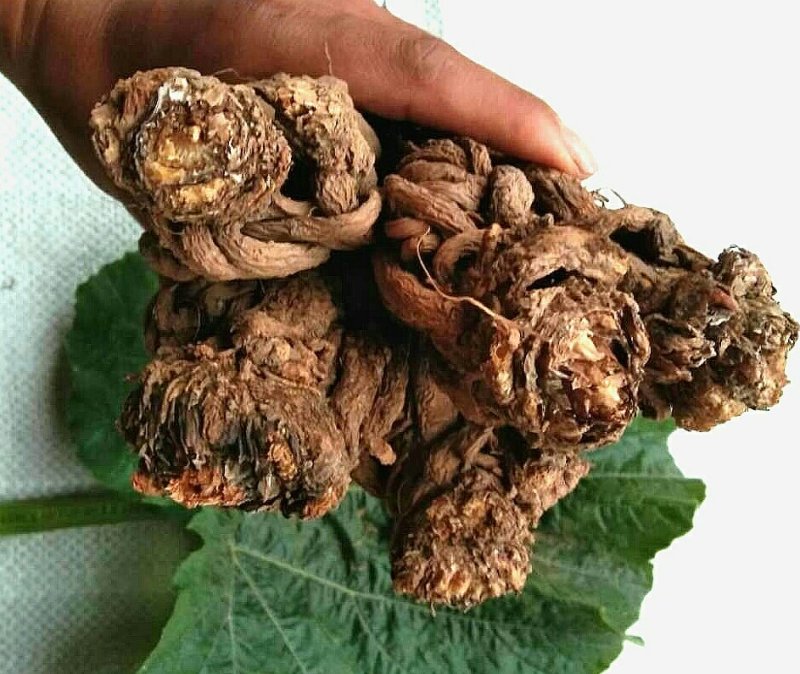 当归无硫新货，原产地放心购买，看不上可以退货