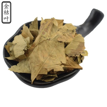 金橘叶金桔叶供应上千种中药材批发零售量大从优