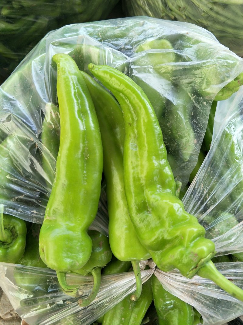 尖椒上市，要的联系，