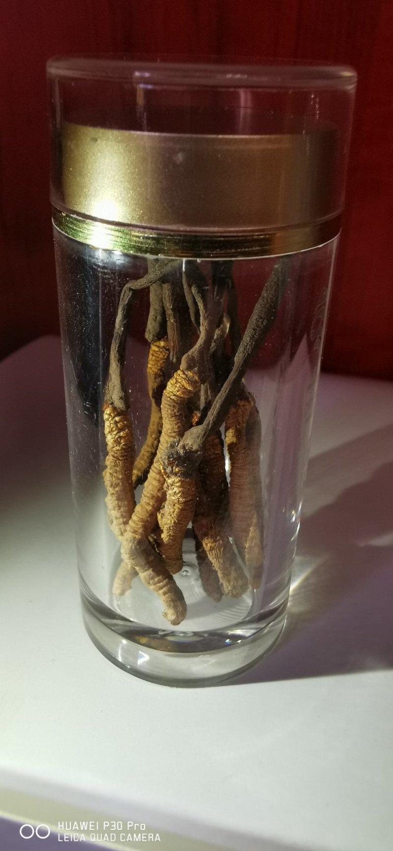 特惠冬虫夏草。假一赔十。特惠了一件10根