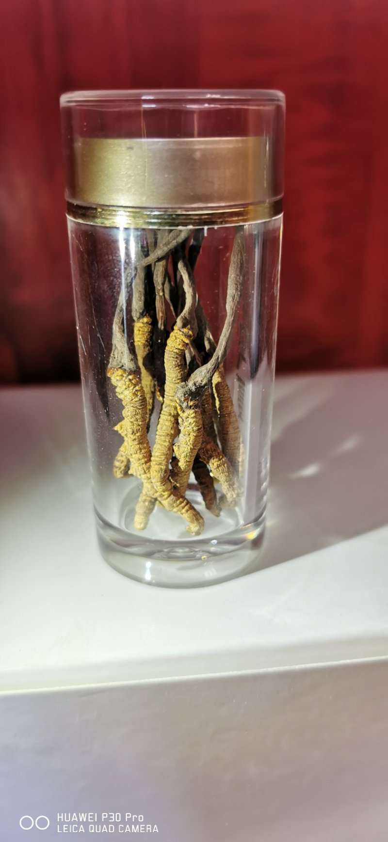 特惠冬虫夏草。假一赔十。特惠了一件10根