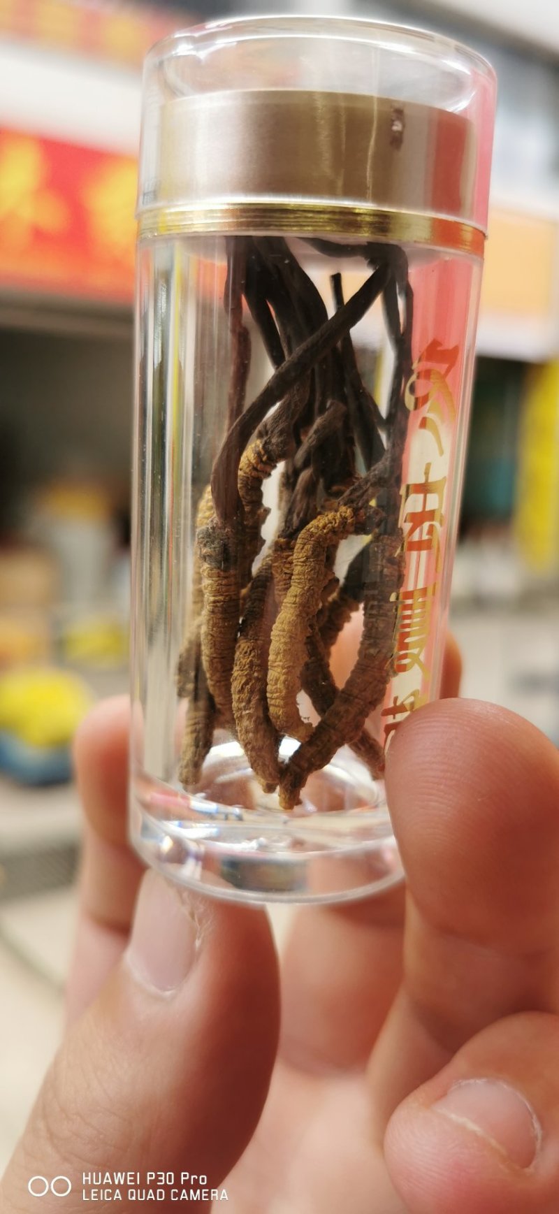 特惠冬虫夏草。假一赔十。特惠了一件10根
