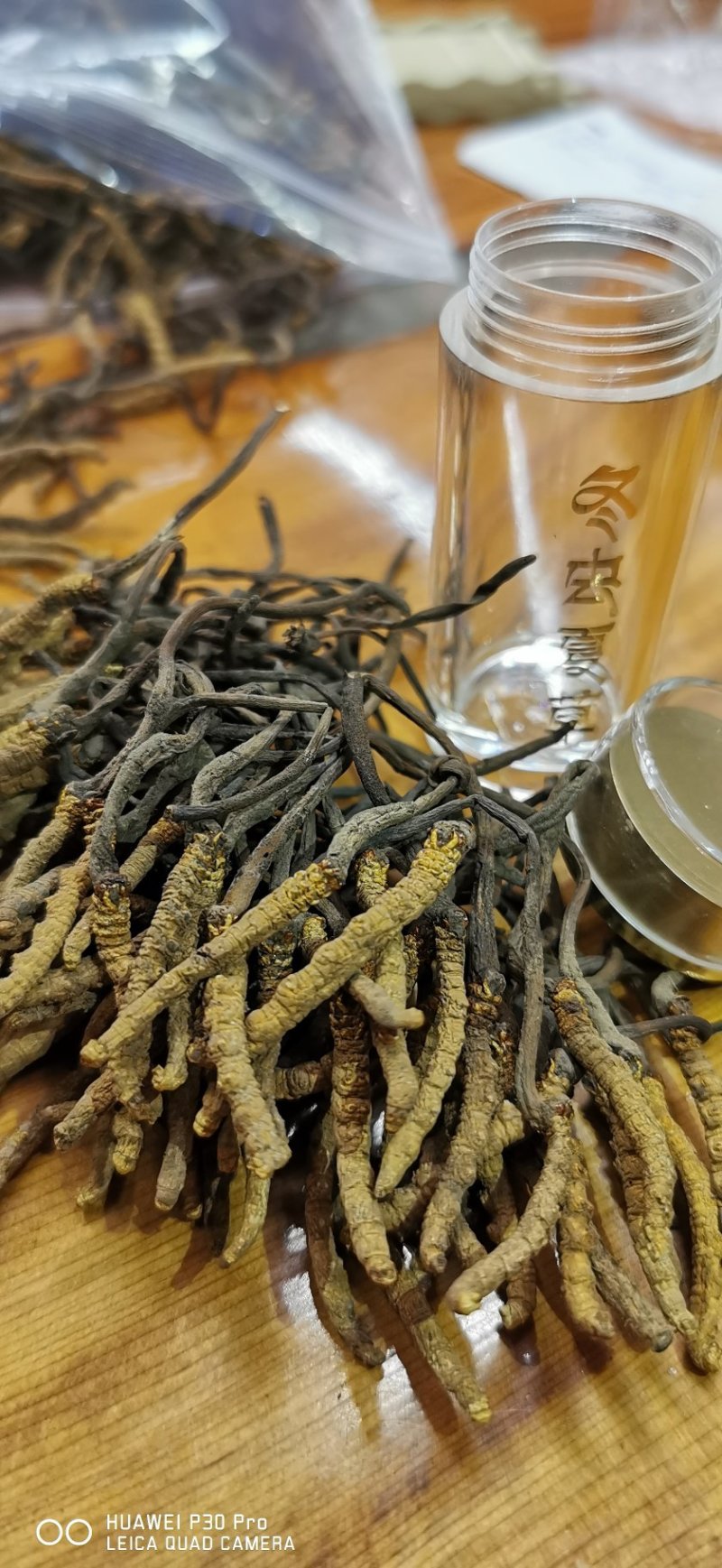 特惠冬虫夏草。假一赔十。特惠了一件10根