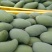 桂七芒