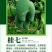 桂七芒