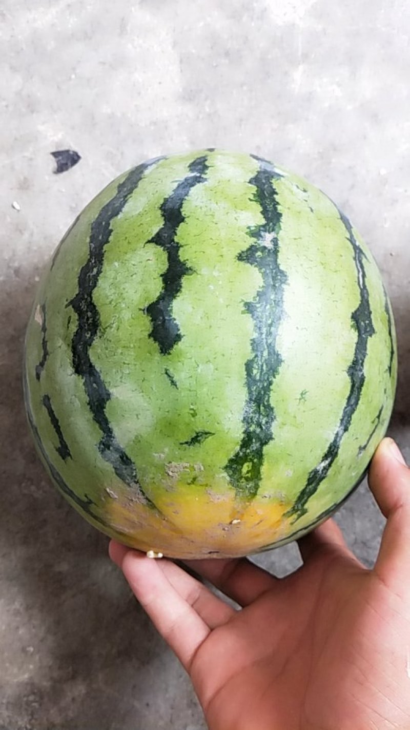 西瓜便宜了