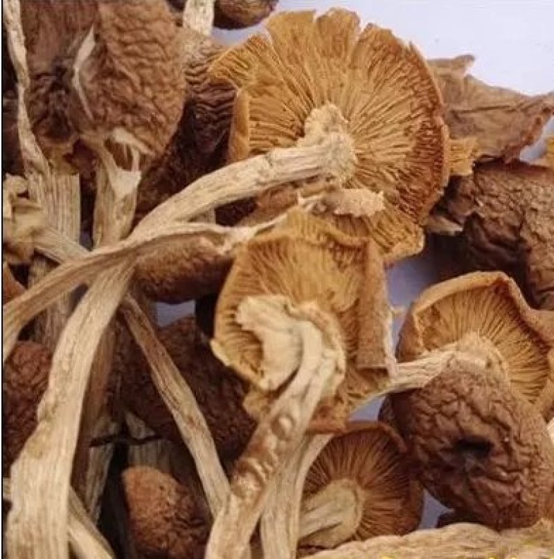 茶树菇干货开伞茶薪菇香菇农家特产农副土特产品