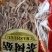 茶树菇干货开伞茶薪菇香菇农家特产农副土特产品