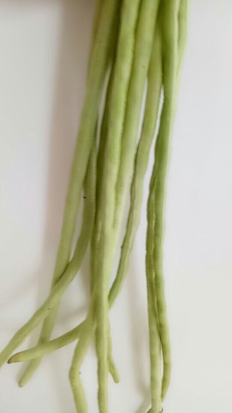 长豆角