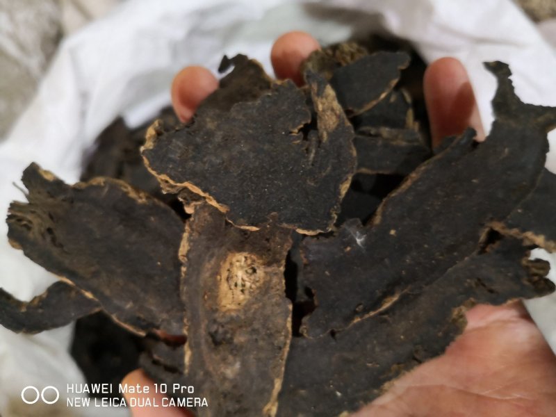 玄参湖南干货够含量长片圆片各种规格量大从优