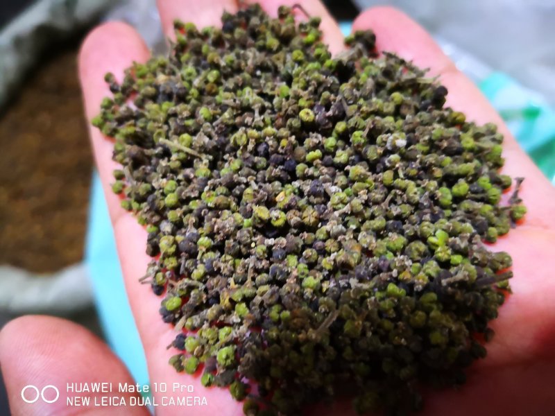 吴茱萸中花够含量江西选货2斤起包邮
