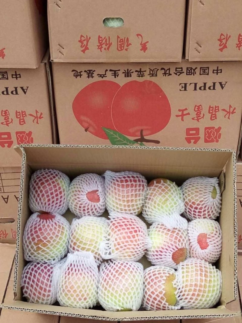 山东苹果产区●美八苹果●