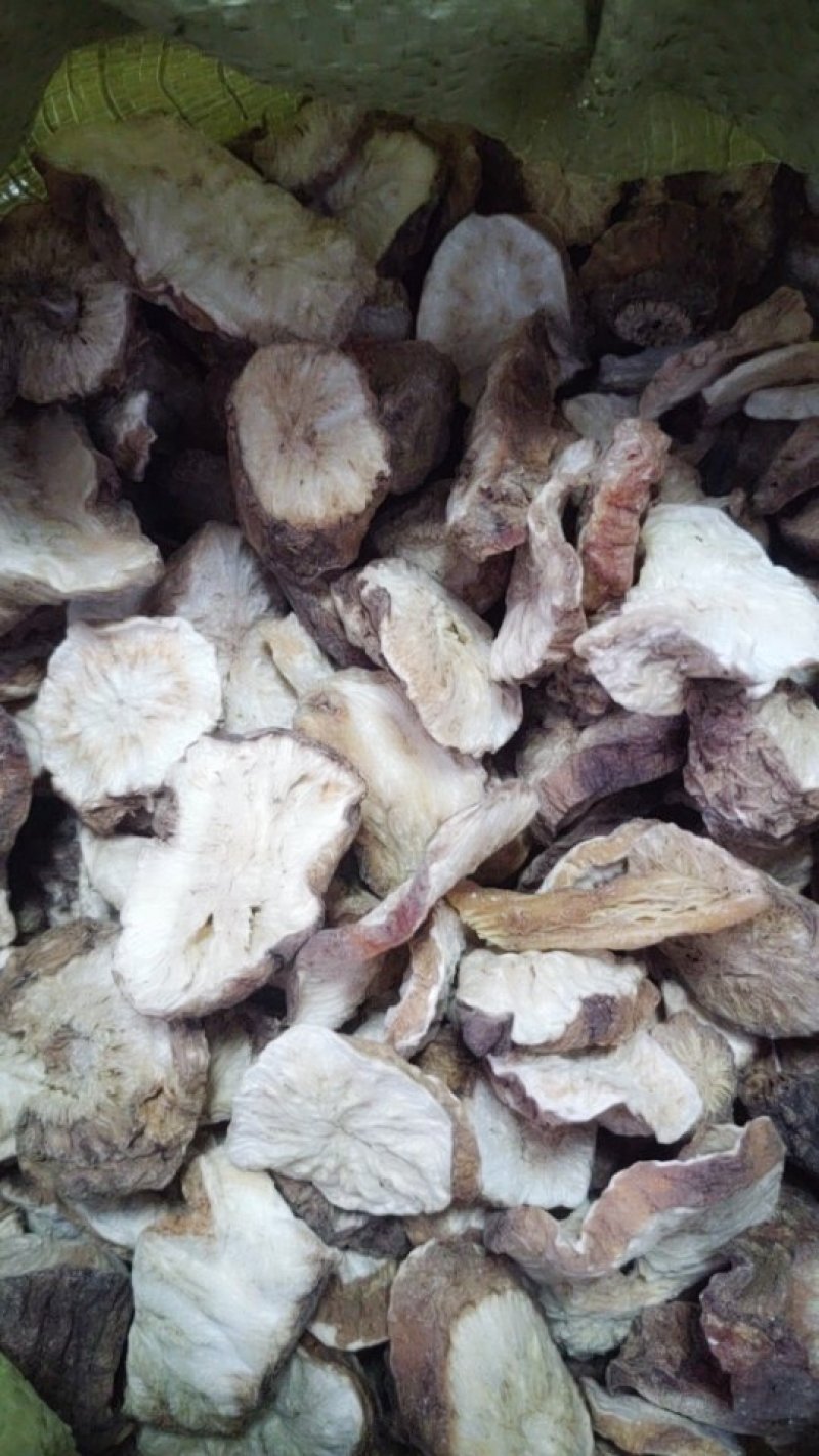 菊苣根，新货，大片无硫菊巨根