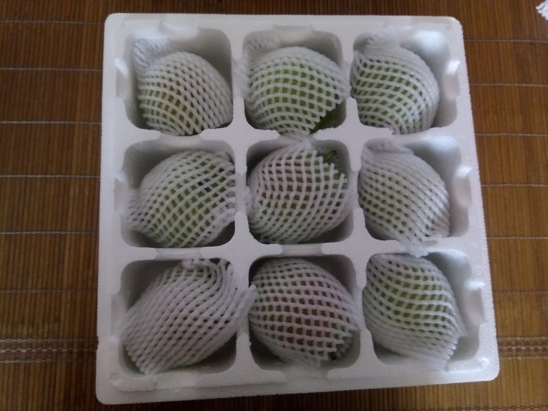 新梨七号