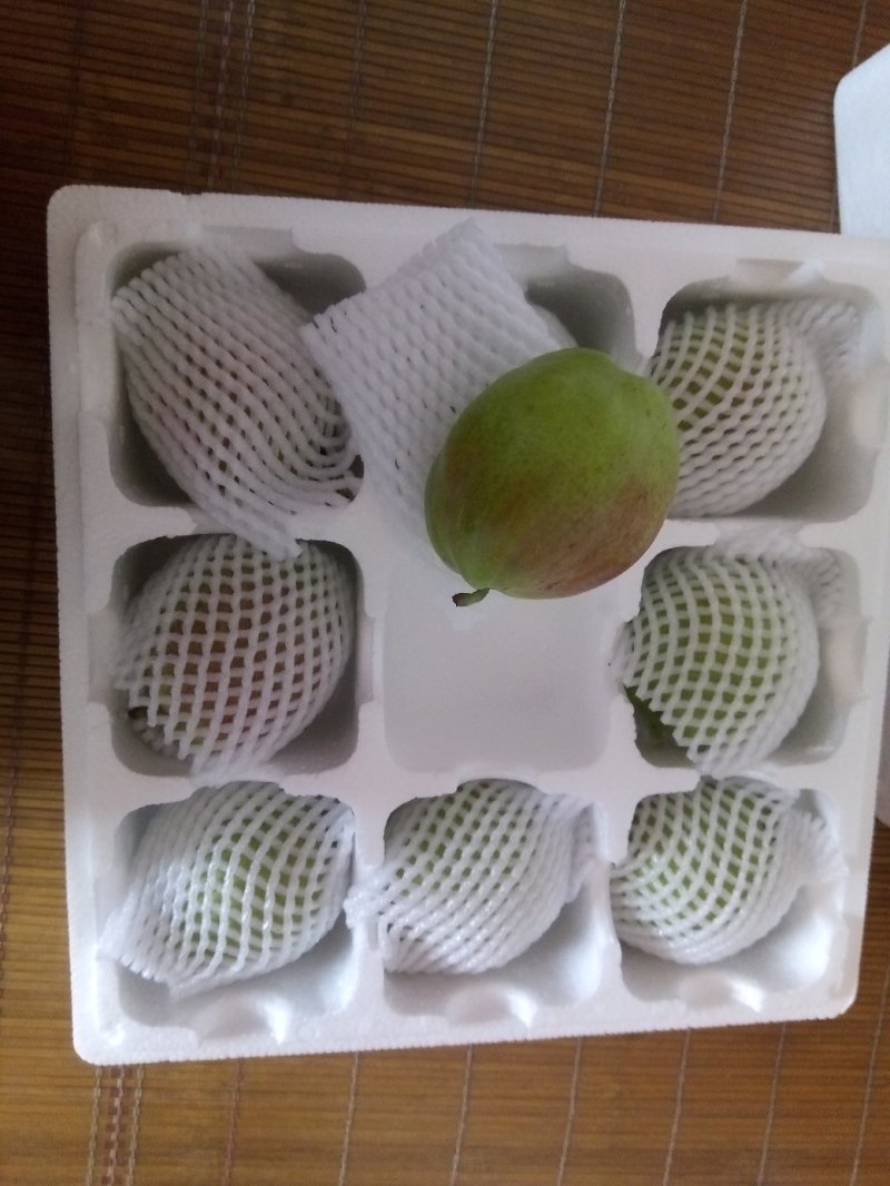 新梨七号